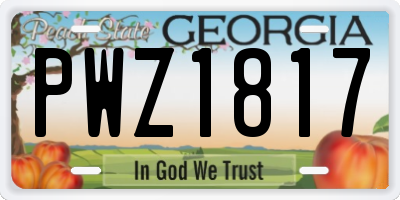 GA license plate PWZ1817