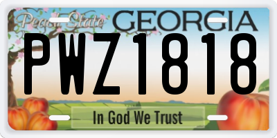 GA license plate PWZ1818