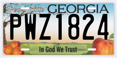 GA license plate PWZ1824