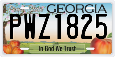 GA license plate PWZ1825