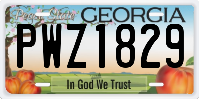 GA license plate PWZ1829