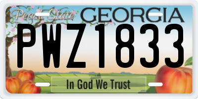 GA license plate PWZ1833