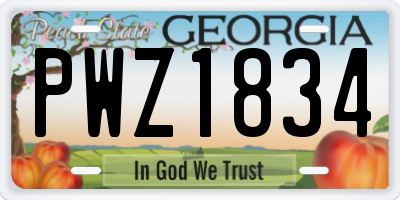 GA license plate PWZ1834