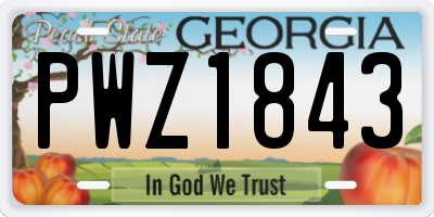 GA license plate PWZ1843