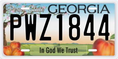 GA license plate PWZ1844