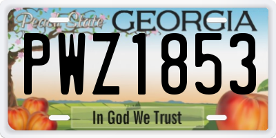 GA license plate PWZ1853
