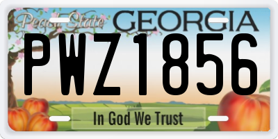 GA license plate PWZ1856