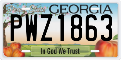 GA license plate PWZ1863