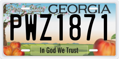 GA license plate PWZ1871