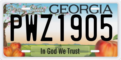 GA license plate PWZ1905