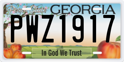 GA license plate PWZ1917