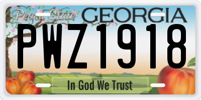 GA license plate PWZ1918
