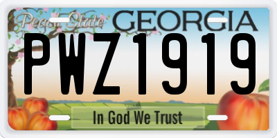 GA license plate PWZ1919