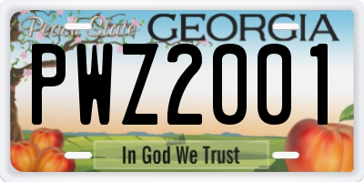 GA license plate PWZ2001