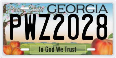 GA license plate PWZ2028