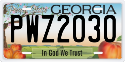 GA license plate PWZ2030