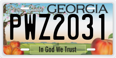 GA license plate PWZ2031