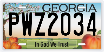GA license plate PWZ2034