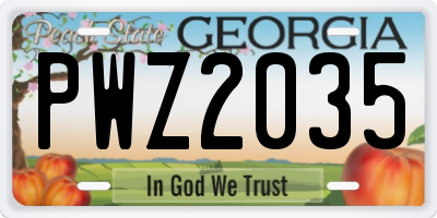 GA license plate PWZ2035