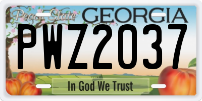 GA license plate PWZ2037