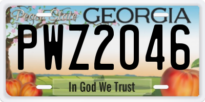 GA license plate PWZ2046