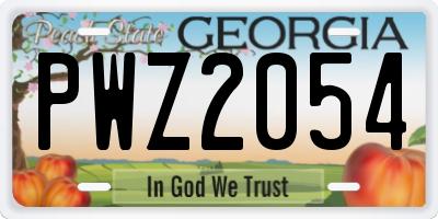 GA license plate PWZ2054
