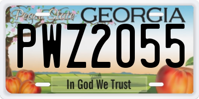 GA license plate PWZ2055