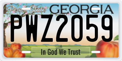 GA license plate PWZ2059