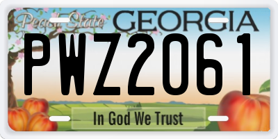 GA license plate PWZ2061