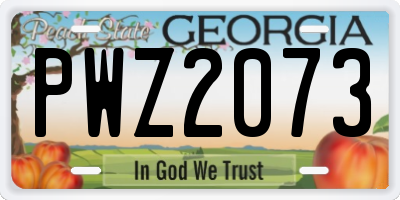 GA license plate PWZ2073