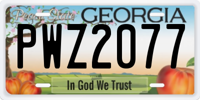 GA license plate PWZ2077