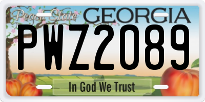 GA license plate PWZ2089