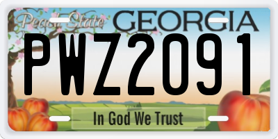 GA license plate PWZ2091