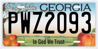 GA license plate PWZ2093