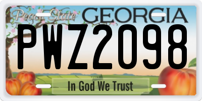 GA license plate PWZ2098