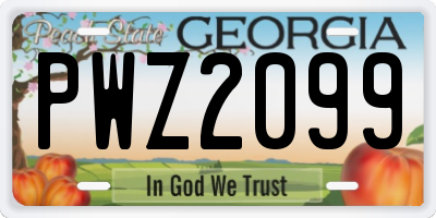 GA license plate PWZ2099
