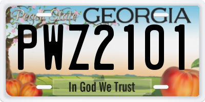 GA license plate PWZ2101