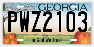 GA license plate PWZ2103