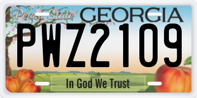 GA license plate PWZ2109