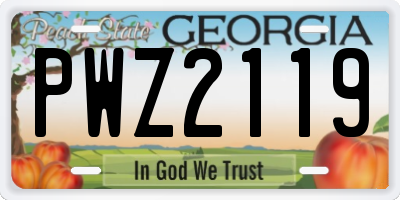 GA license plate PWZ2119