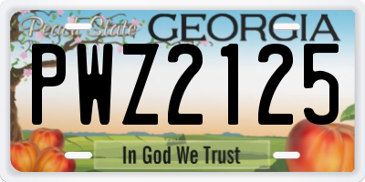 GA license plate PWZ2125
