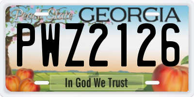 GA license plate PWZ2126