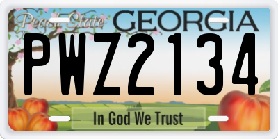 GA license plate PWZ2134