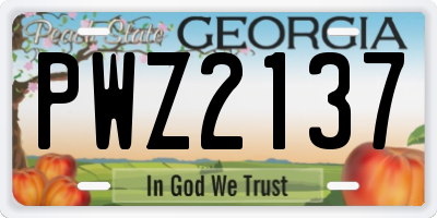 GA license plate PWZ2137
