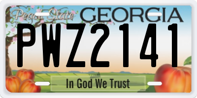 GA license plate PWZ2141