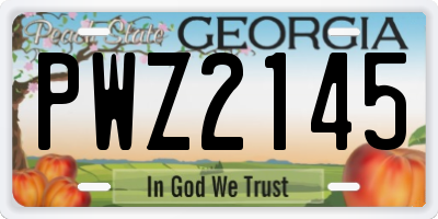 GA license plate PWZ2145