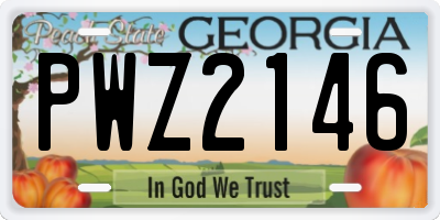 GA license plate PWZ2146