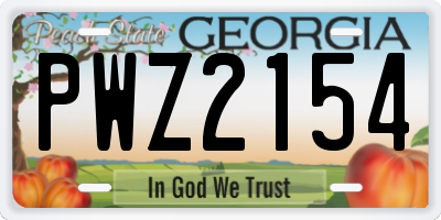 GA license plate PWZ2154
