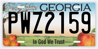 GA license plate PWZ2159