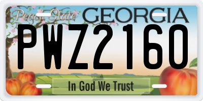 GA license plate PWZ2160